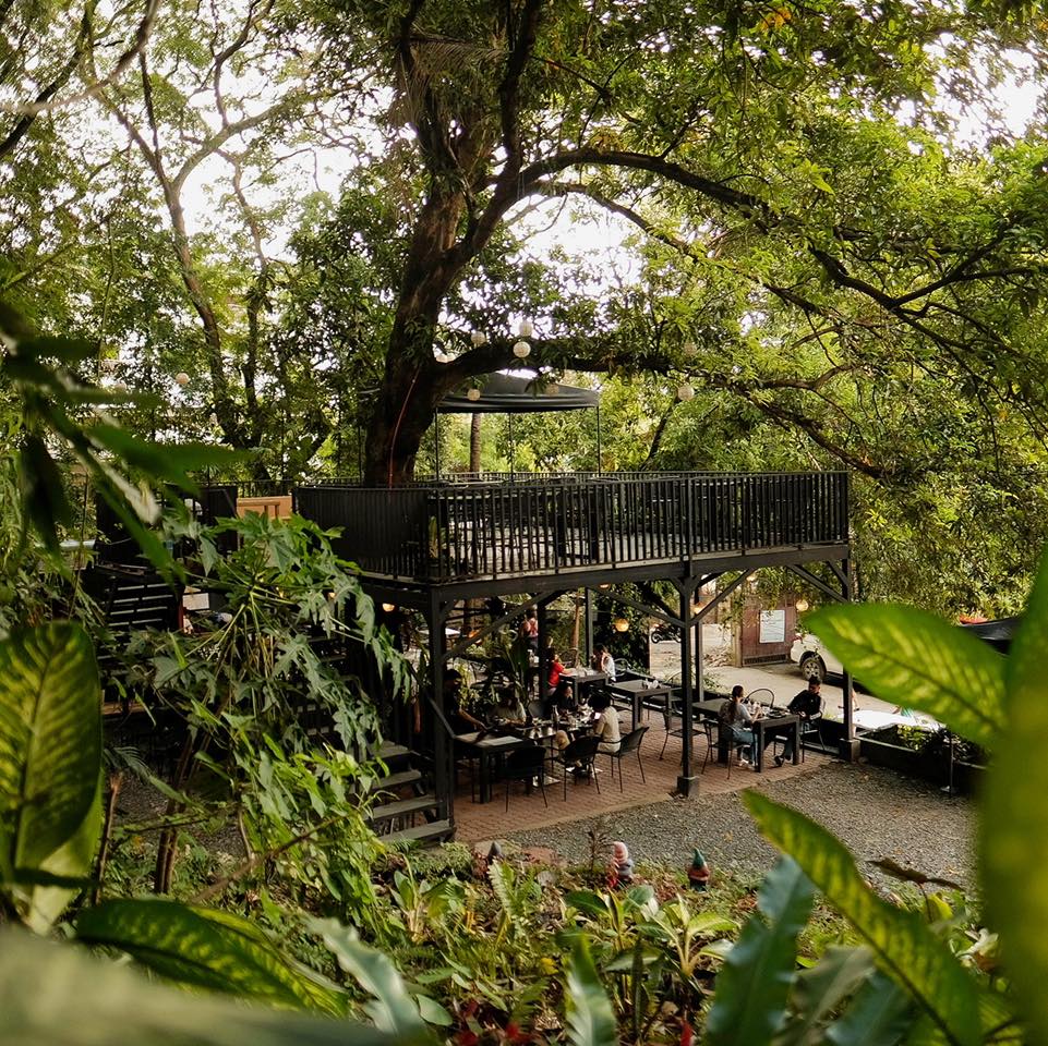 480093811 2424703741209374 7844215248958517845 n