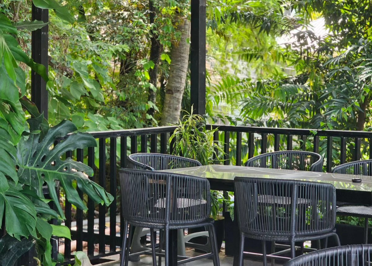 481054288 956718703320955 7334537610479539109 n 1